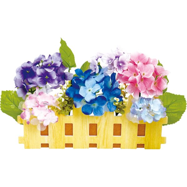 �؂₩�A�W�T�C�_��