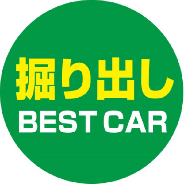 T[Nh[TCiʔ̂݁j @oBESTCAR