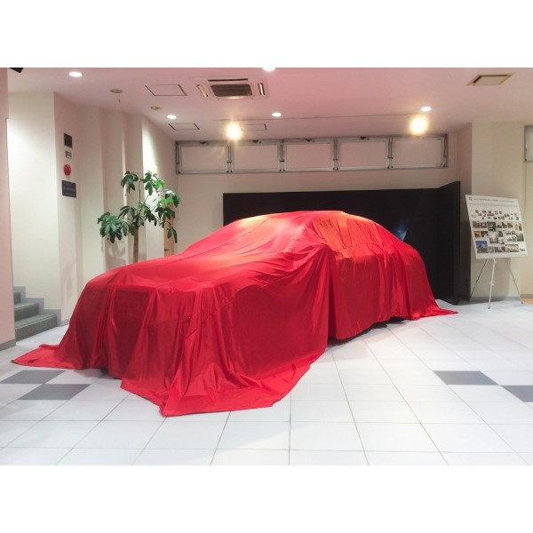 {fBJo[NX P100 bh WTCYi400×600cmj