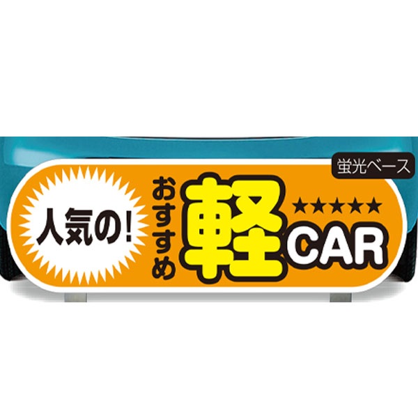 yԗpP[ACTC̂ lĈߌyCAR