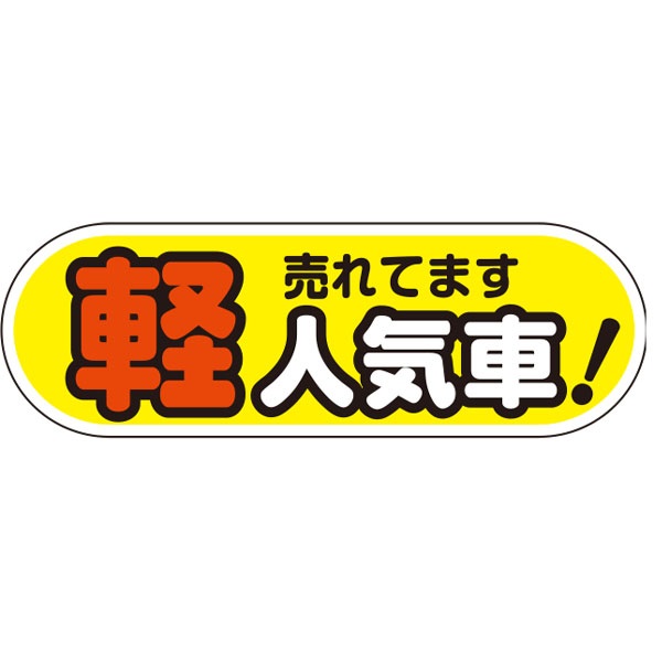 yԗpP[ACTC̂ ylC