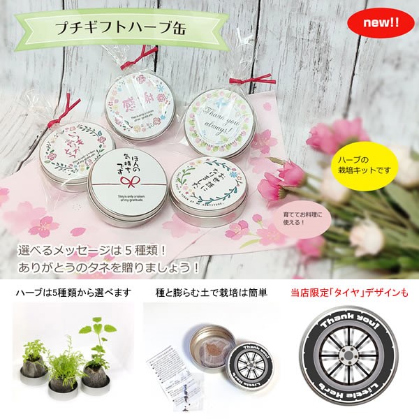 プチギフトハーブ缶 / 裸納品