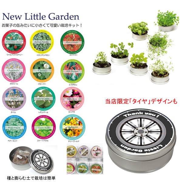 New リトルガーデン