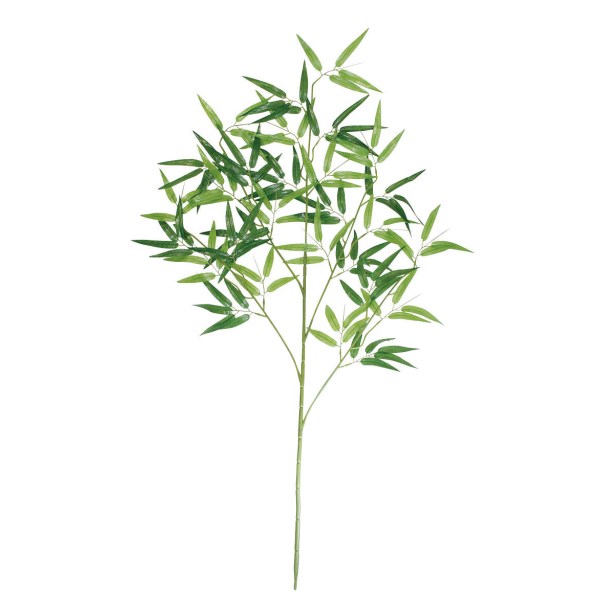 �o���u�[��}�@�P�P�O����