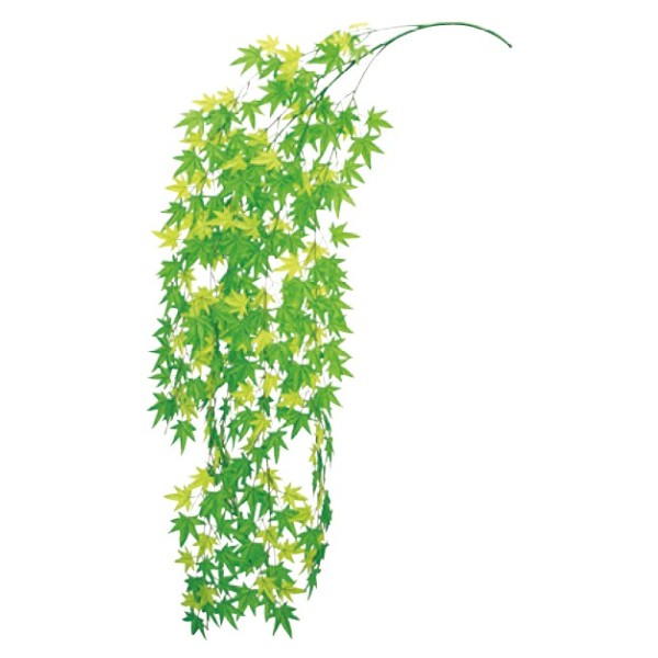 ���C�v�����[�t�o�C��