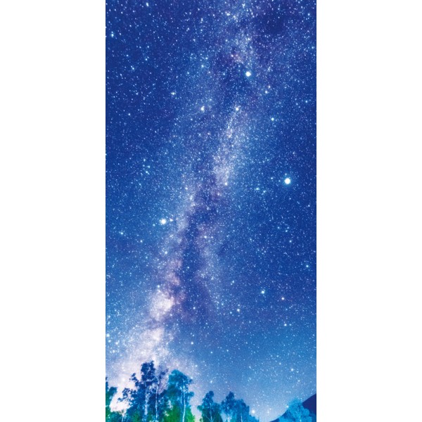 �^�y�X�g���[�i�h���j�V�̐�