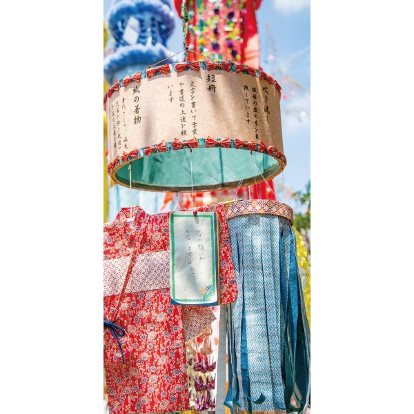 �^�y�X�g���[�i�h���j�Z����������