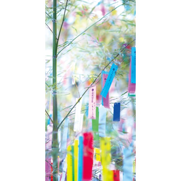 �^�y�X�g���[�i�h���j������