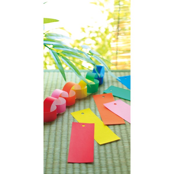 �^�y�X�g���[�i�h���j�Z��