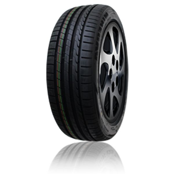 MINERVA�@MINERVA F205�@�@225/50-17 98Y XL