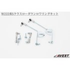 W222 xcp ԍ[_E OLbg