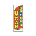 m{ U-CAR Ii