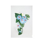 �n���M���O�@�n�C�r�X�J�X���v�������A�u���[