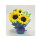 �~�j�~�j�|�b�g�Ђ܂��