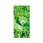 ���������^�y�X�g���[�@�N���[�o�[