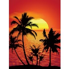 �o�b�N�X�N���[���V�[�g�@�T���Z�b�g