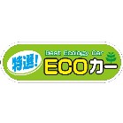 yԗpP[ACTCZbg ECO