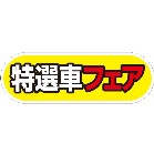 yԗpP[ACTCZbg I̪