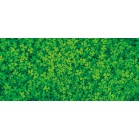 �f�B�X�v���C�V�[�g�N���[�o�[