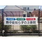 ���f�� [3����]