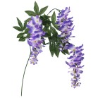 ���X�v���C�R�փp�[�v��