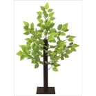 �O���[�����؃X�^���h