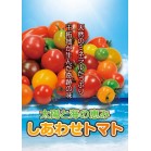 g}g3kg / 킹g}gE20i`bNt܁ijΉj