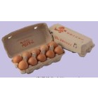 O݂كt@[@̐Ԃ܂10/10pbN