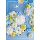 ���@���A�X�y�t�����N�t���g�z