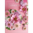 ���@���A�X�y�A���X�e���_���z