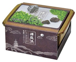 ����L�b�g �T�� ZEN GARDEN1�� �i�O�d���j