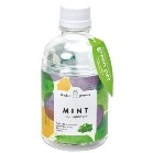 �O���[���y�b�g1�i�~���g�j