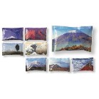 �L���b�`�N�[���ۗ��50g�i�x�m�R�j