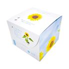 �~�j�Ђ܂��͔|�L�b�g