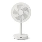 �V���J ��������T�[�L�����[�^�[