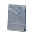 �i�C�X�o�b�O�i�V���o�[�j