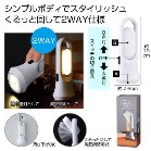2WAYCg