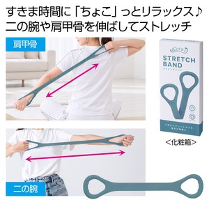 ���傱���� �X�g���b�`�o���h
