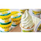 �t�^�o�H�i �����������A�C�X�Z�b�g���y���ŗ��Ώۏ��i