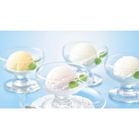 �ԓc�{�I�����k�C���Y�t���[�c �A�C�X�M�t�g���y���ŗ��Ώۏ��i