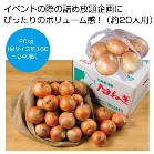 kCYʂ˂lߕLbg20kgi20lpjyŗΏۏi