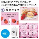 �T�����N�� �i�{�i�X�g���x���[4�����y���ŗ��Ώۏ��i