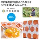 ���a�ʎ����̂�������L�c�݂���[���[4�����y���ŗ��Ώۏ��i