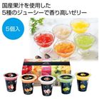 ���������l����5�����y���ŗ��Ώۏ��i