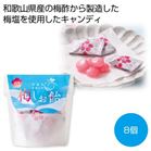 �~������8���y���ŗ��Ώۏ��i