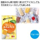 ���点�ĐH�ׂ�݂���A�C�X���y���ŗ��Ώۏ��i