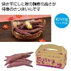 قӂ Yg͂邩yŗΏۏi