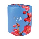 �~�̉ԃv�����g�g�C���b�g���[���_�u���i30m�j