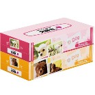 �v���e�B�h�b�OBOX�e�B�b�V��130W2�g