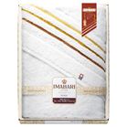 ���� �������̈�i �ɂӂ킳���D �o�X�^�I��